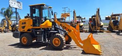 Payloader-Blanche-Tw36-D306-20