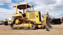 Bulldozer-Cat-D5nXl-0793-10