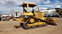 Bulldozer-Cat-D5nXl-0793-17