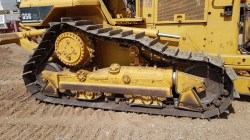 Bulldozer-Cat-D5nXl-0793-6