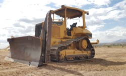 Bulldozer-Cat-D5nXl-0793-8